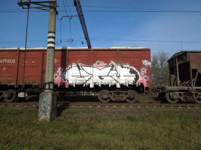 Graffiti Train - Photo by UGMCRU - ugm (2012)