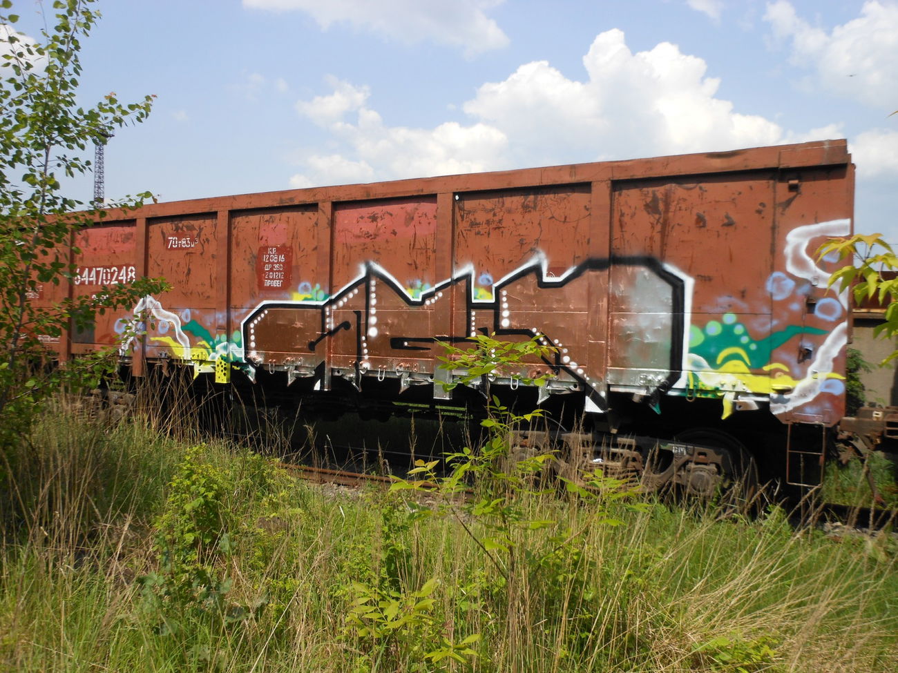 Graffiti Train - Photo by UGMCRU (2014)
