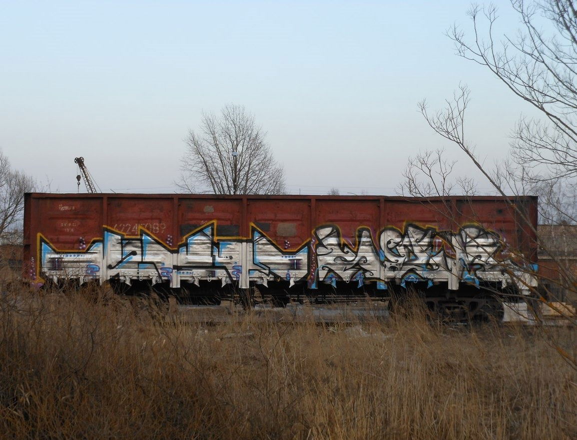 Graffiti Train - Photo by UGMSquad - fr8 (2012)