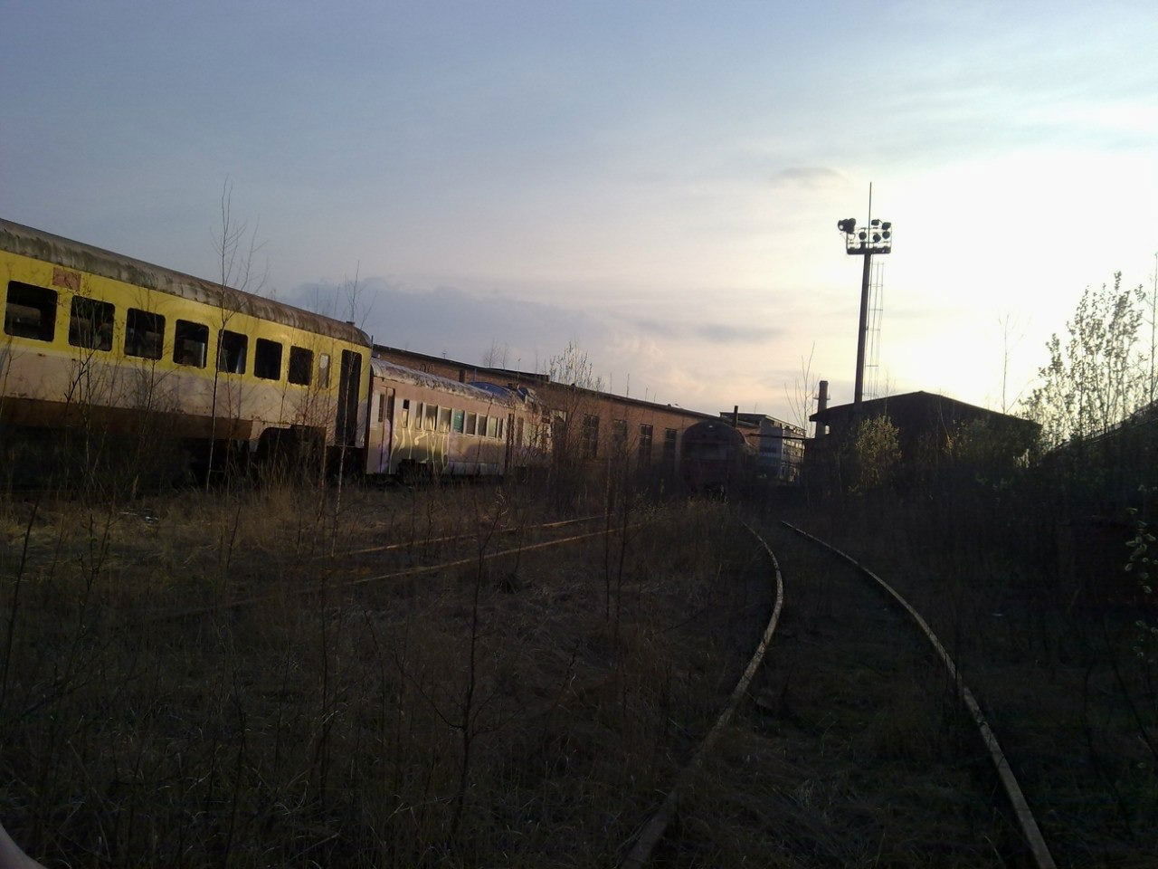Graffiti Train - Photo by UGMSquad (2011)