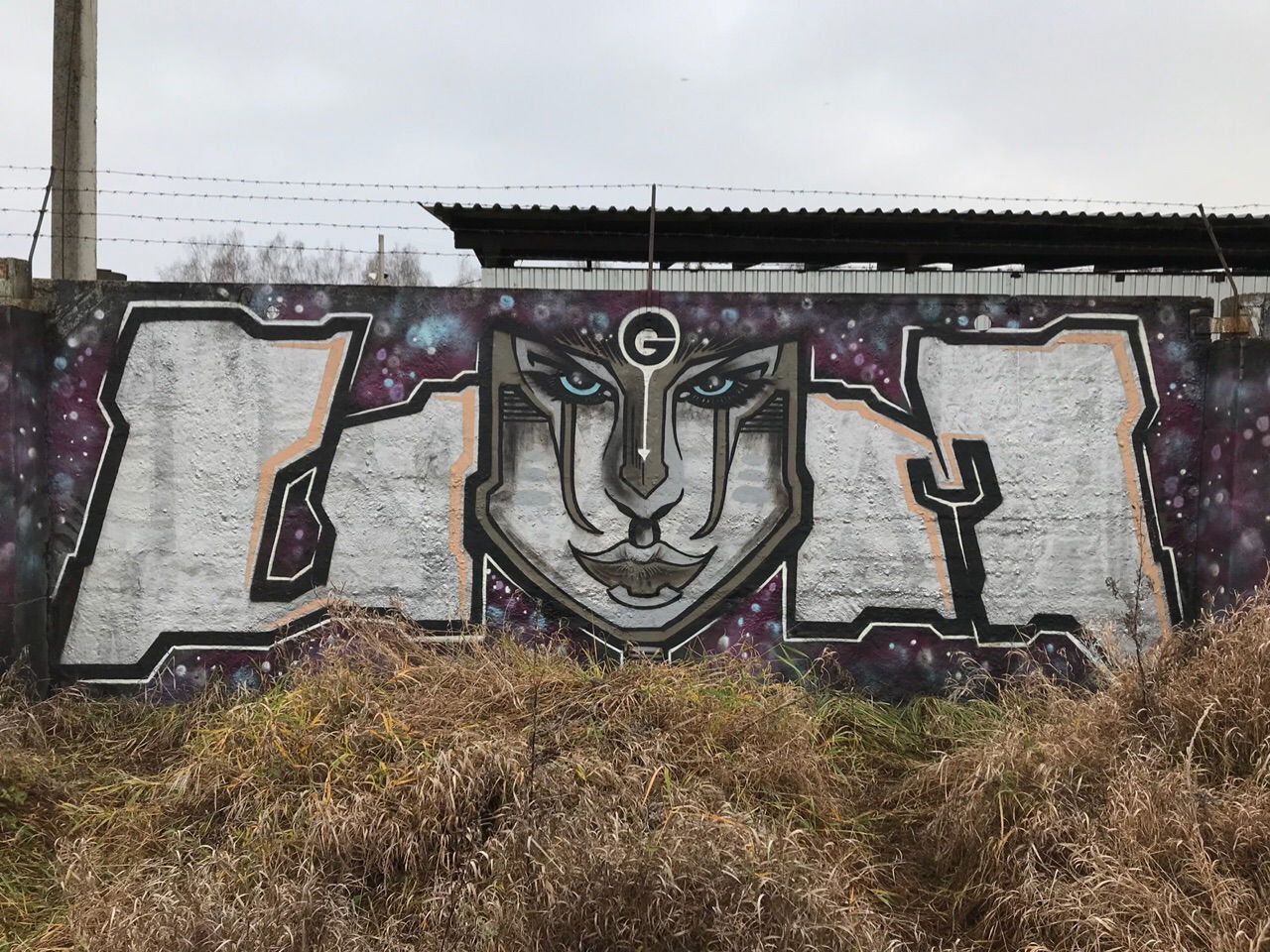 Graffiti Wall - Photo by UGMSquad - walls, line (2019)