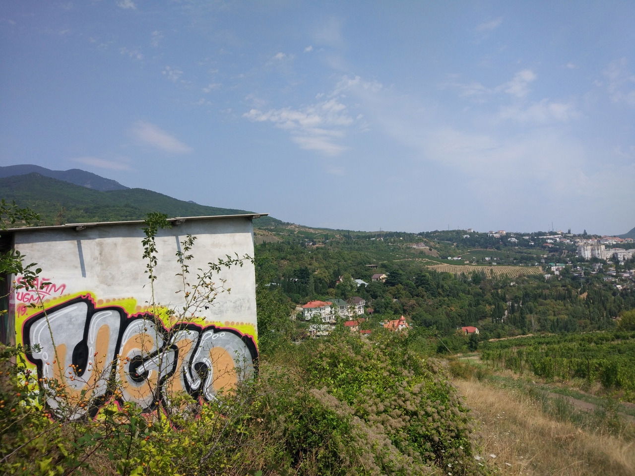 Graffiti Wall - Photo by UGMSquad - walls (2019)