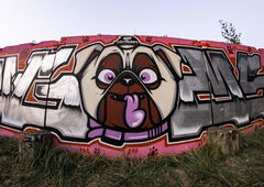 Graffiti Wall - Photo by UGMSquad (2020)