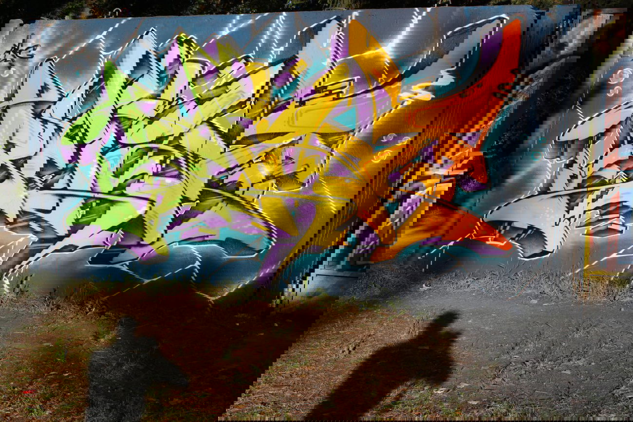 Graffiti Wall in Potsdam - Photo by UROKone - SMAT, UROK, PIEcrew (2014)