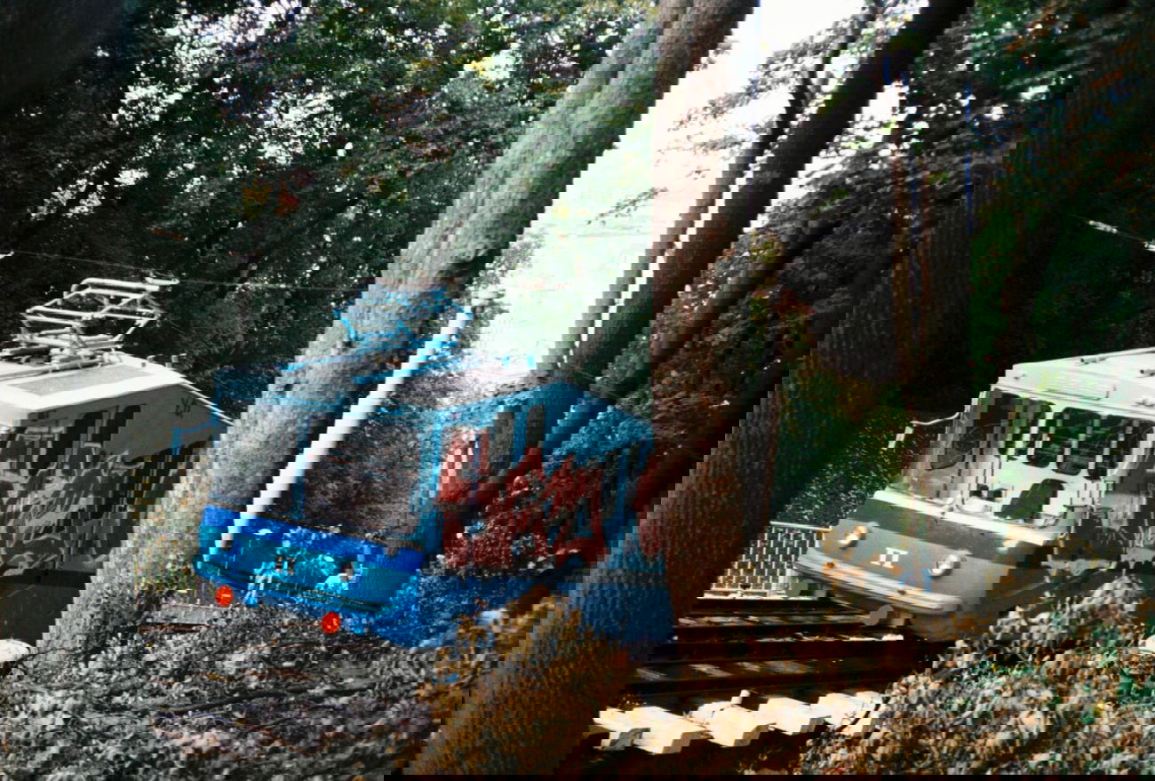 Graffiti Train - Photo by Ukraine - seto