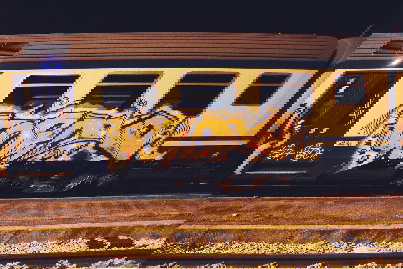 Graffiti Train - Photo by Ukraine - seto, nevest