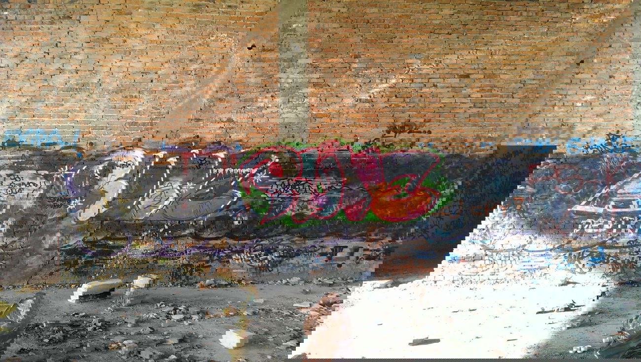 Graffiti Wall - Photo by UkrytaTozsamosc - rute, ruteone, r (2013)