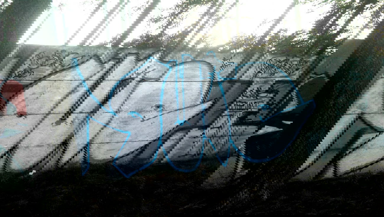 Graffiti Wall - Photo by UkrytaTozsamosc - rute, ruteone (2013)