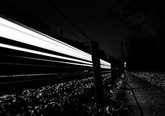 Photo #57076 by Tisot