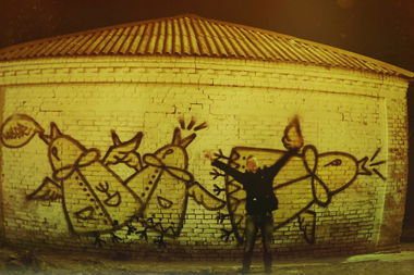 Graffiti Wall in Pryluky - Photo by Under - birds (2013)