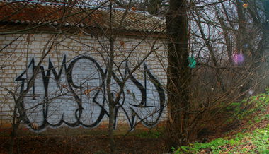 Graffiti Bombing in Chernihiv - Photo by Under - train, line (2013)