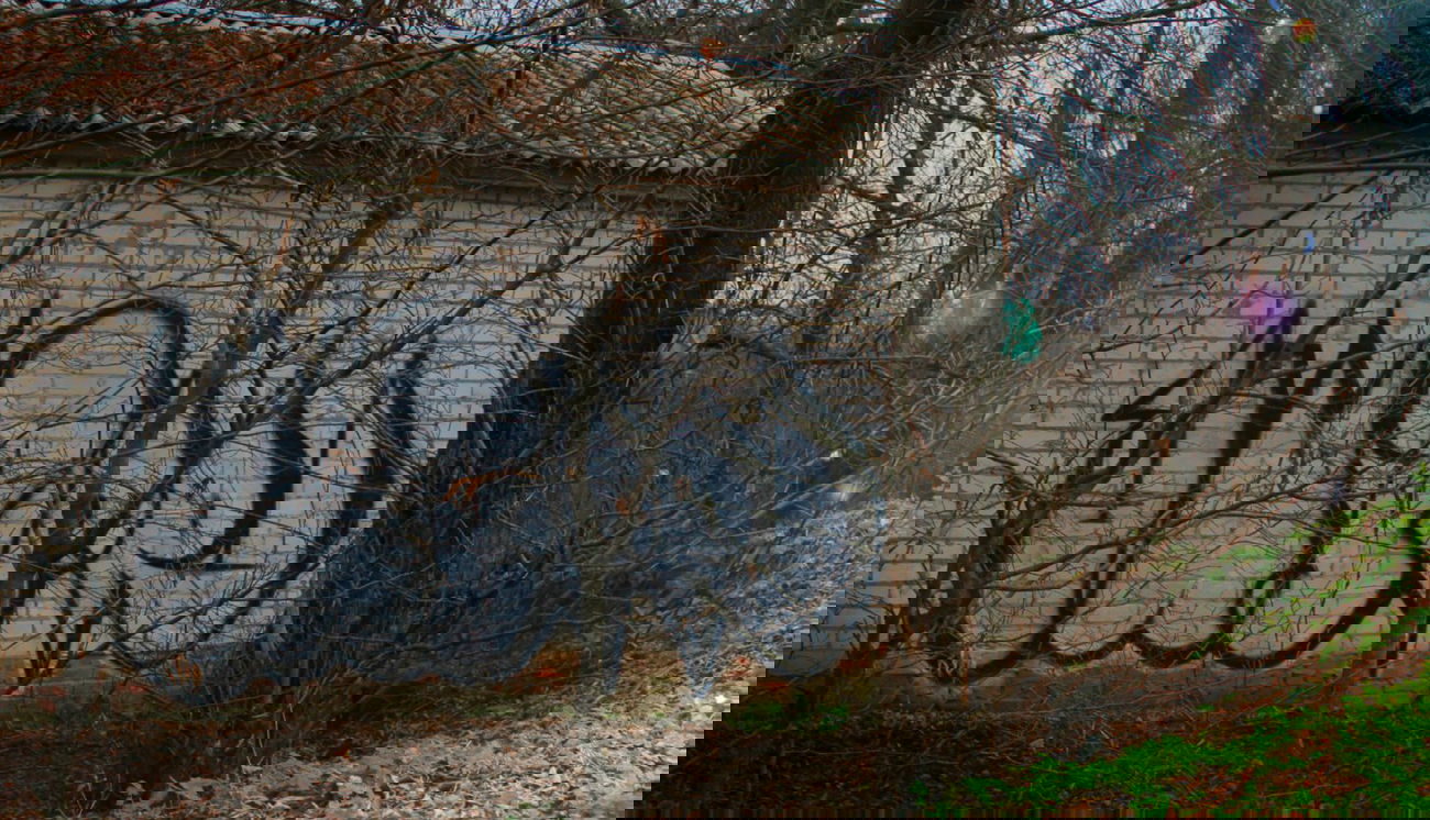 Graffiti Bombing in Chernihiv - Photo by Under - train, line (2013)