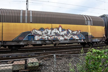 Graffiti Train - Photo by UnderColor - hannover, güter, leinhausen