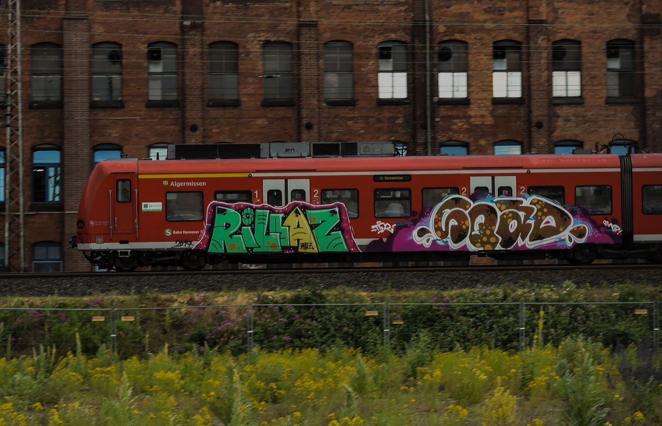Graffiti Train - Photo by UnderColor - hannover, graffiti, train