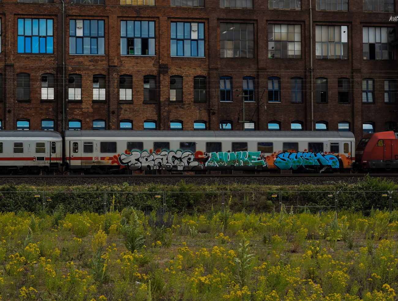 Graffiti Train - Photo by UnderColor - hannover, graffiti, train