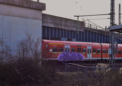 Graffiti Train - Photo by UnderColor - hannover, graffiti, train