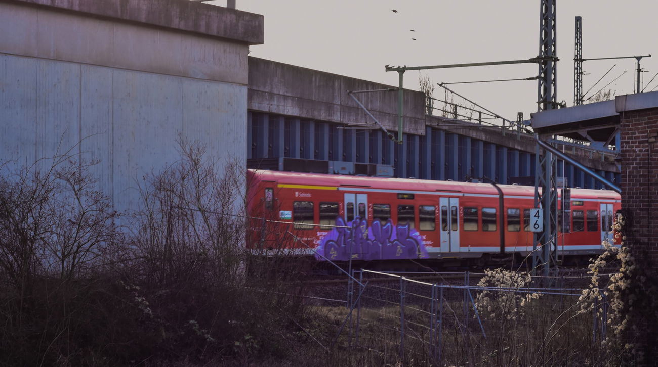 Graffiti Train - Photo by UnderColor - hannover, graffiti, train
