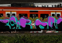 Photo #209369 by hainz107