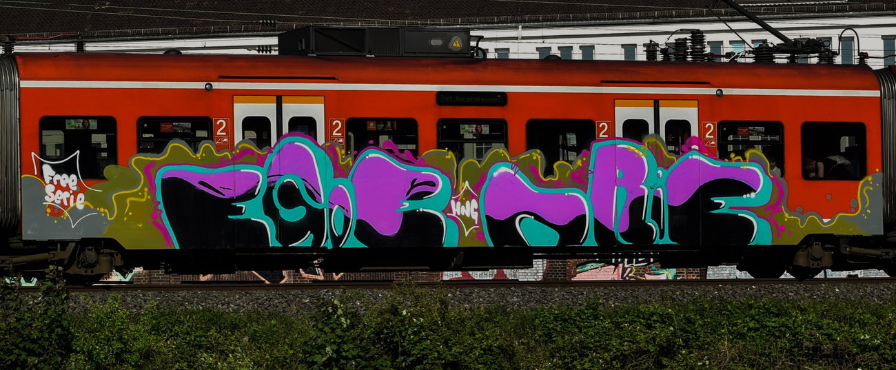 Graffiti Train - Photo by UnderColor - hannover, graffiti, train