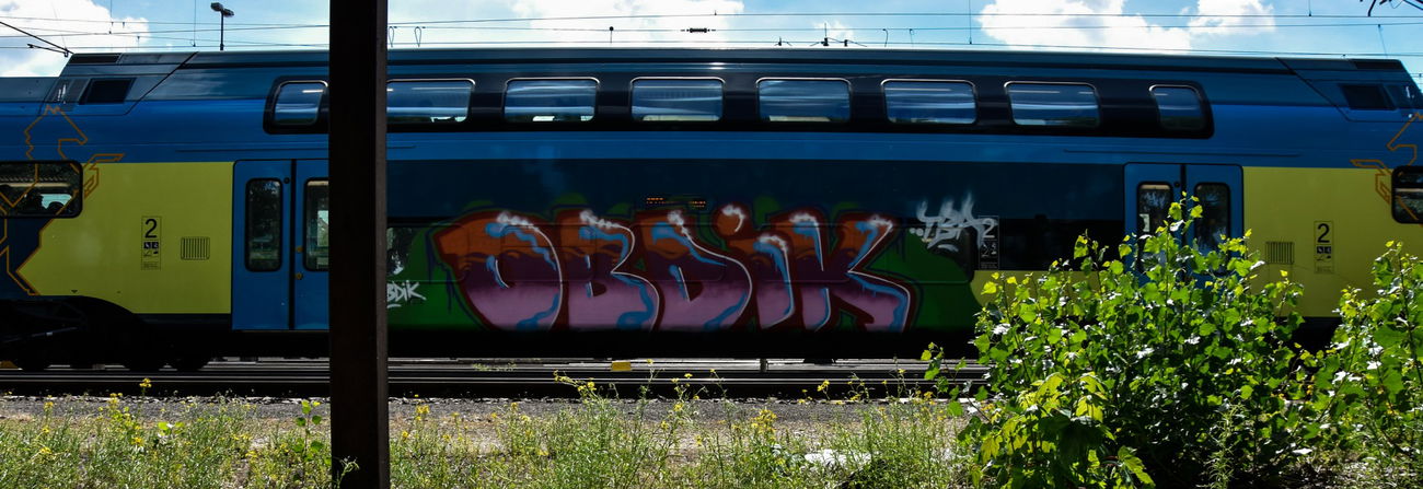 Graffiti Train - Photo by UnderColor - hannover, graffiti, train