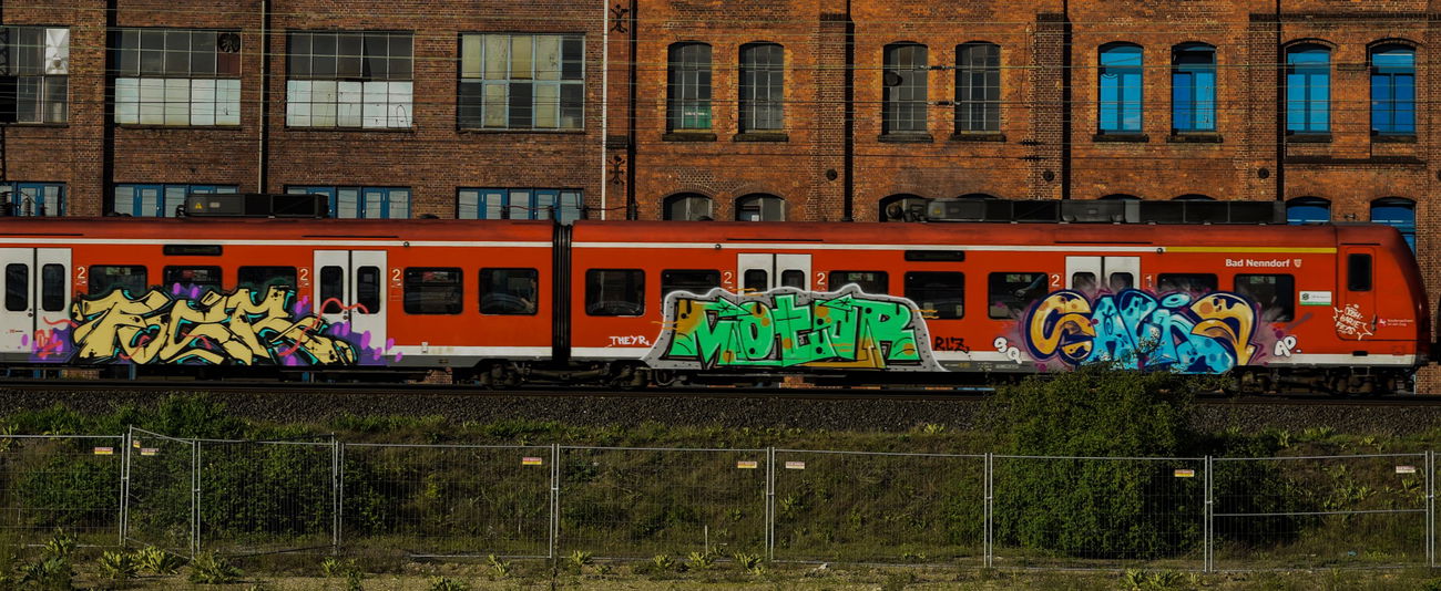Graffiti Train - Photo by UnderColor - hannover, graffiti, train