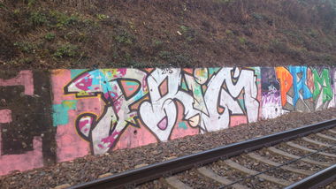 Graffiti Bombing in Freiburg - Photo by Unicorn - Prim, Primuz, 31 (2013)