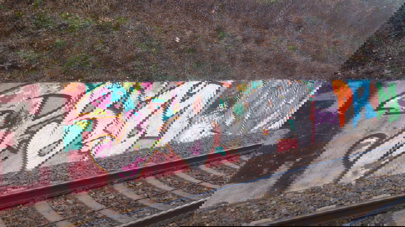 Graffiti Bombing in Freiburg - Photo by Unicorn - Prim, Primuz, 31 (2013)