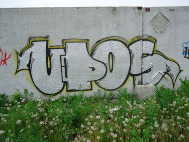 Graffiti Bombing in Barnaul - Photo by Upos