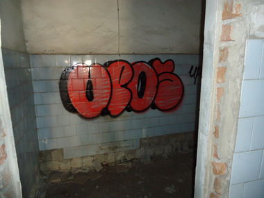 Graffiti Bombing - Photo by Upos