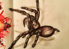 Photo #207926 by TagHagel