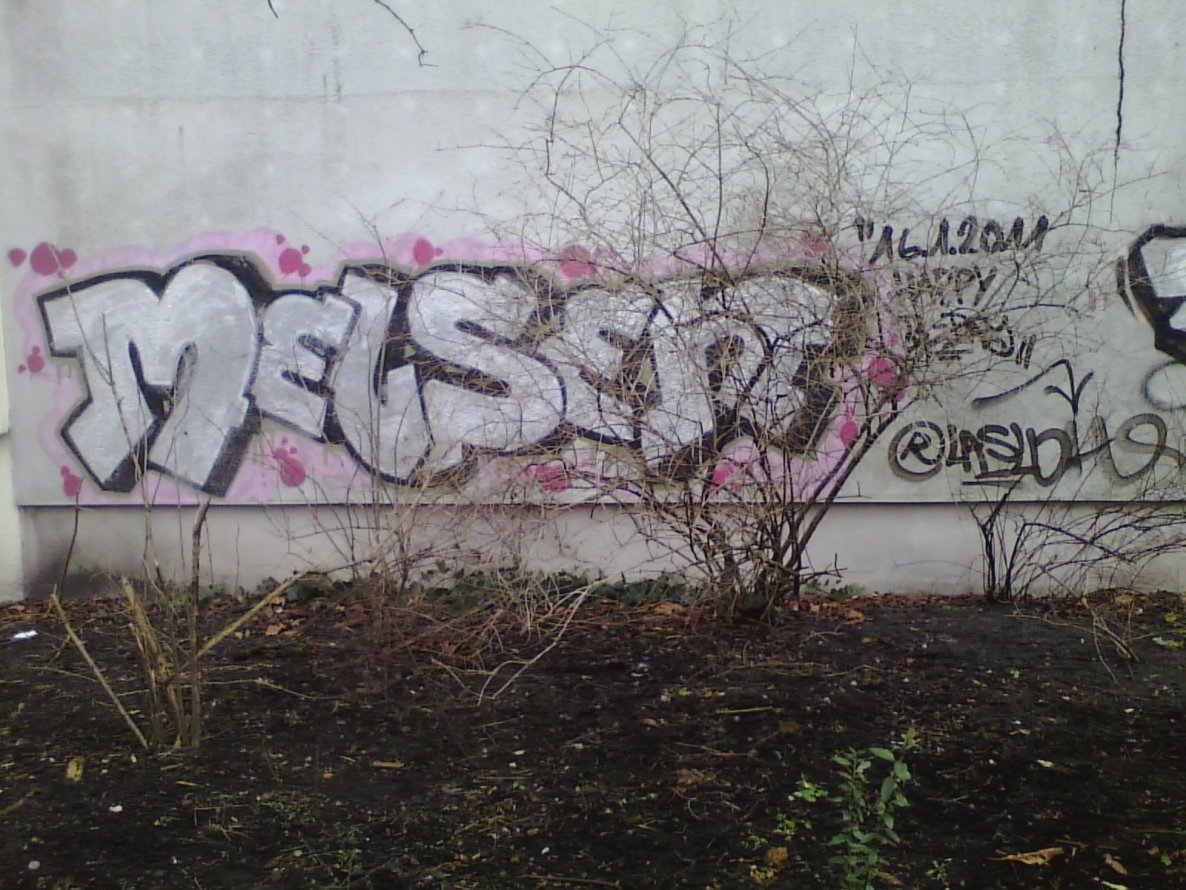 Graffiti Bombing - Photo by User28 - melsen, laslo (2011)