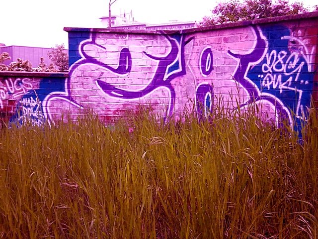 Graffiti Bombing - Photo by User28 - QUK, 28, UCS (2012)