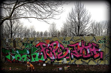 Graffiti Wall - Photo by User28 - Tafk, feps, pioh (2014)