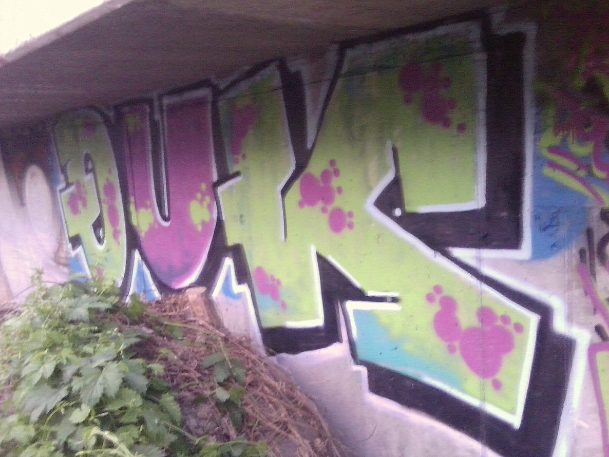 Graffiti Bombing - Photo by User28 - QUK (2011)