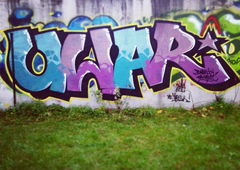 Photo #121273 by Bordo