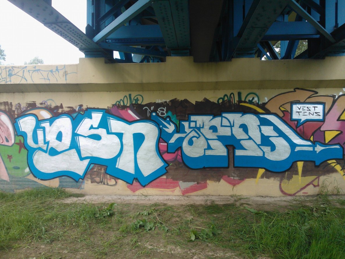 Graffiti Bombing - Photo by V35T (2013)