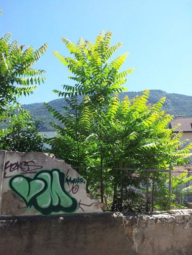 Graffiti Bombing in Italy - Photo by VMcrew - VM