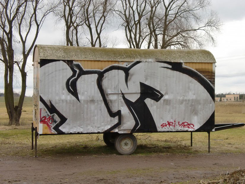 Graffiti Bombing in Delitzsch - Photo by VMcrew - vm, shei, köter (2010)