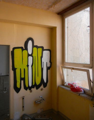 Graffiti Bombing - Photo by VMcrew - VM, MINT, DESSAU (2013)