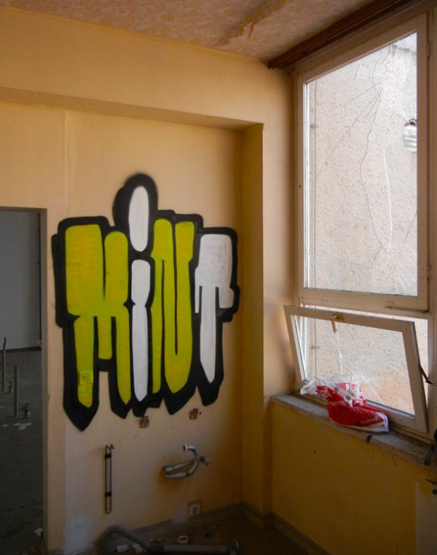 Graffiti Bombing - Photo by VMcrew - VM, MINT, DESSAU (2013)