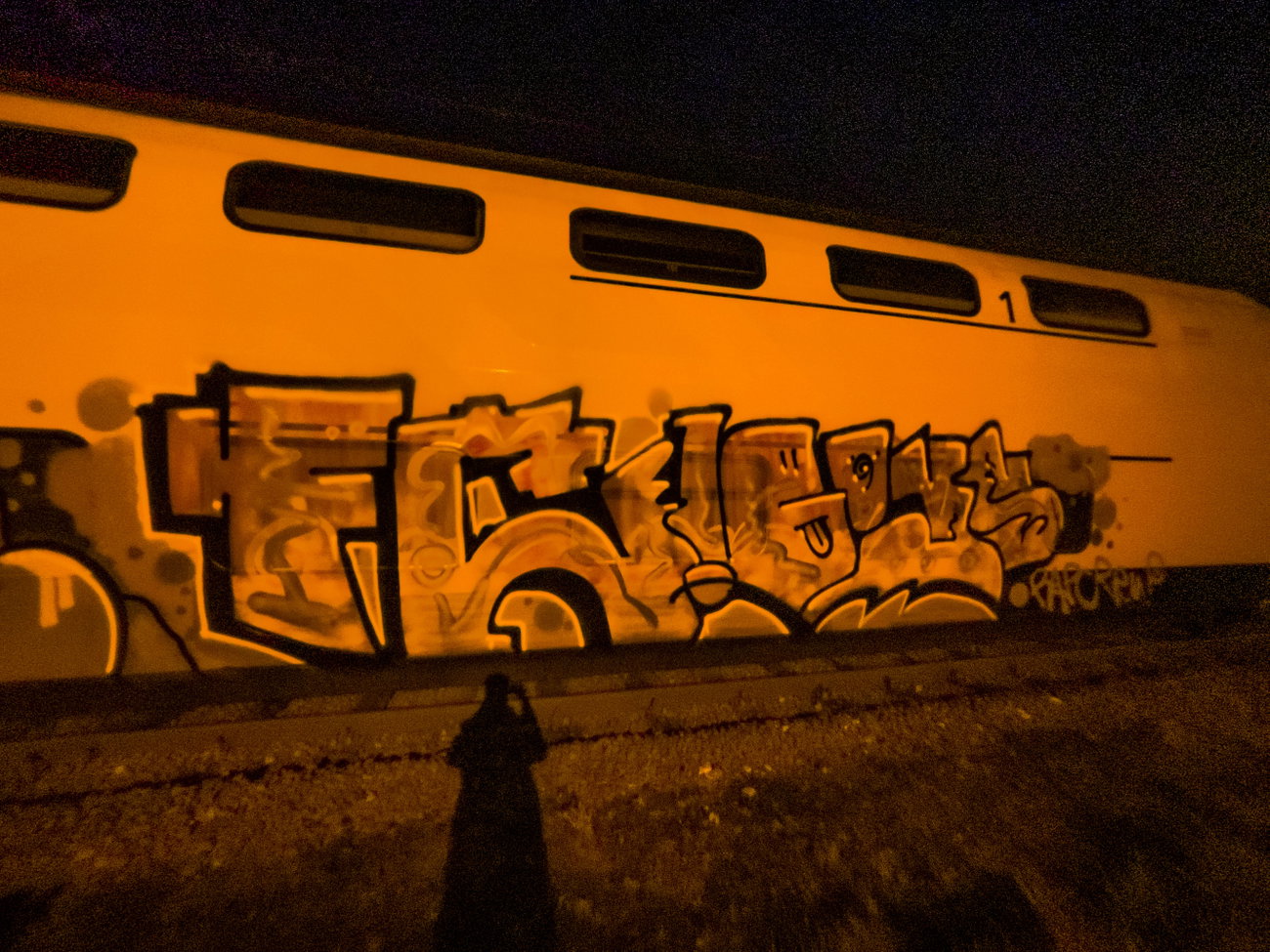 Graffiti Train in Netherlands - Photo by VOID777 - FC