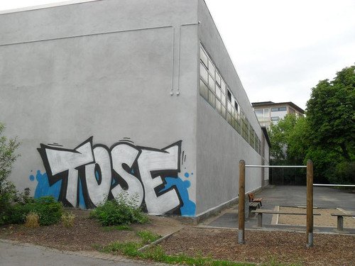 Graffiti Bombing - Photo by VOLKERPUTT - tose