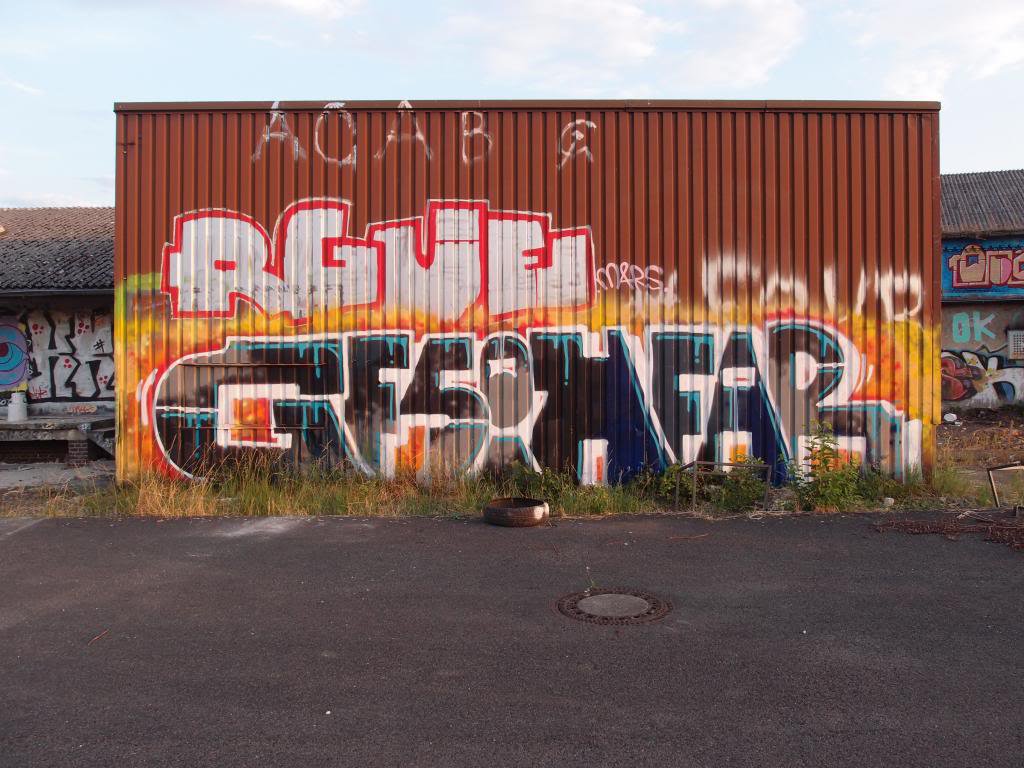 Graffiti Wall - Photo by VOLKERPUTT - gfs, ih, far