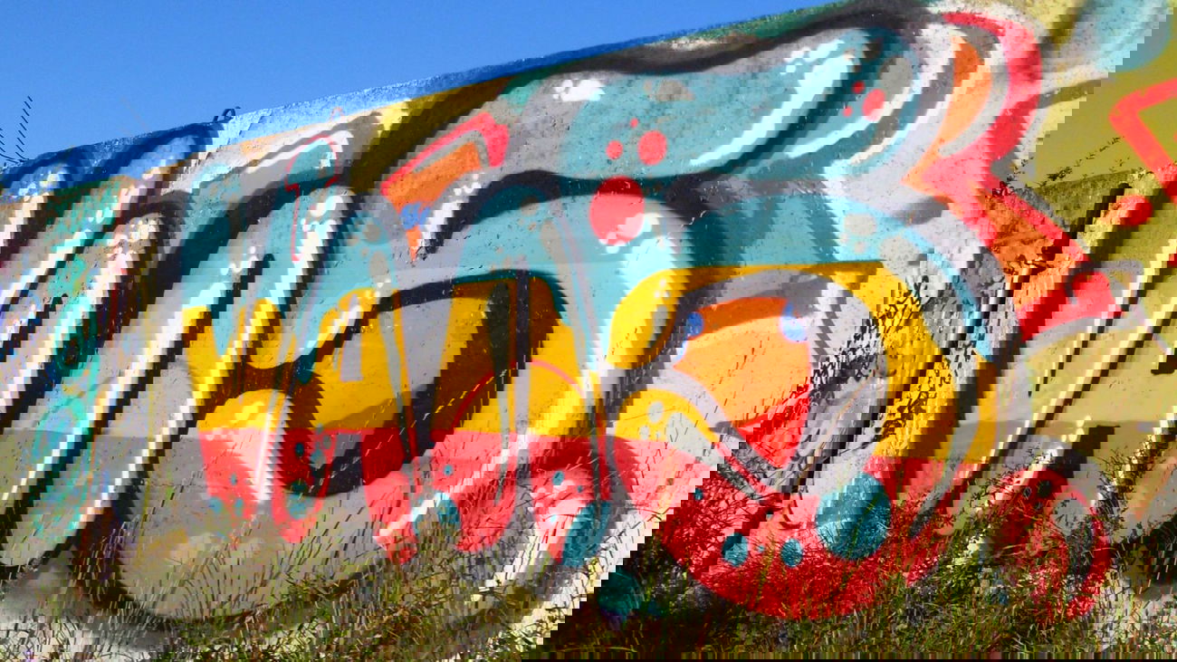 Graffiti Bombing - Photo by Vans - Vans, Vanser, Che (2014)