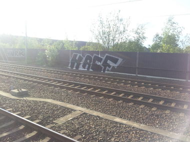 Graffiti Bombing - Photo by Varea (2015)