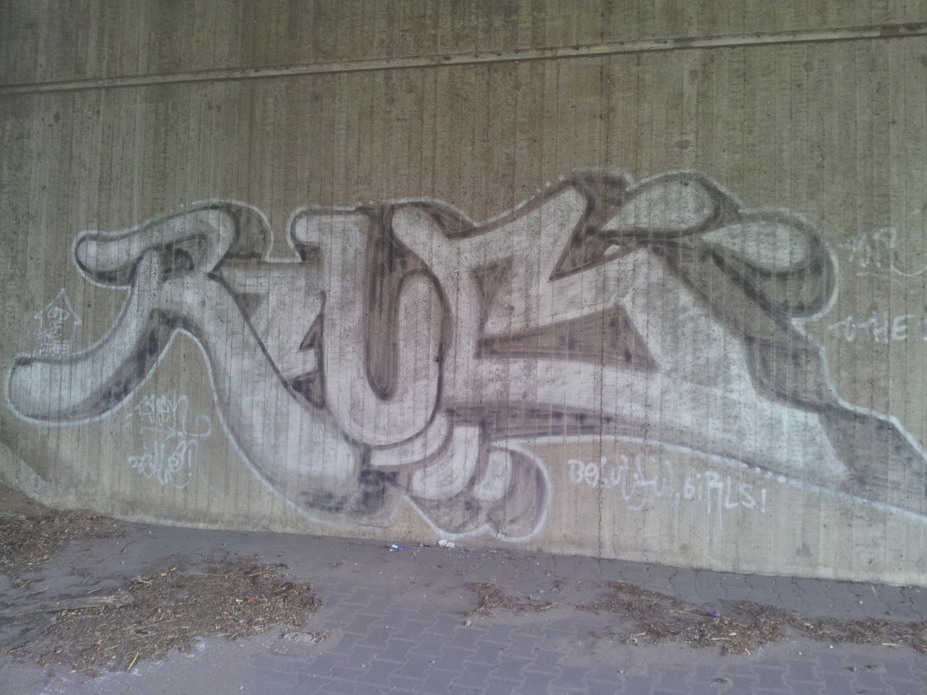 Graffiti Bombing - Photo by Varea