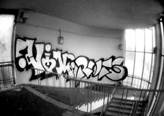 Photo #27457 by User1312