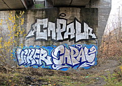 Photo #63795 by saype1