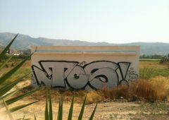 Photo #27580 by sunsnv