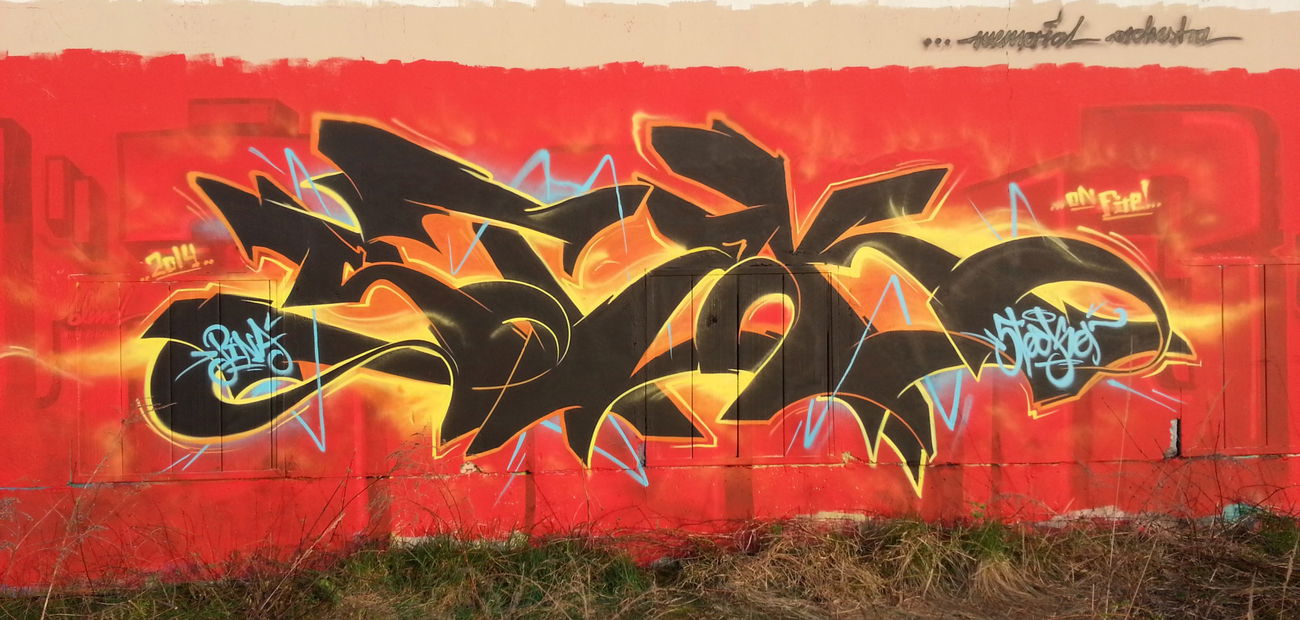 Graffiti Wall - Photo by Verstecker - stek, dresden